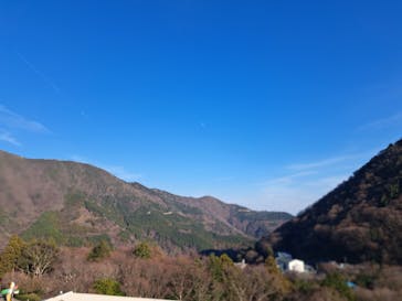 彫刻の森美術館に投稿された画像（2026/1/1）