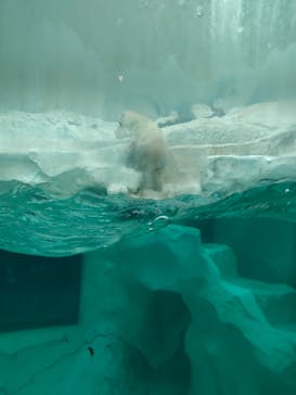 恩賜上野動物園に投稿された画像（2026/1/2）