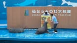 仙台うみの杜水族館に投稿された画像（2026/1/2）