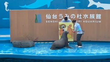 仙台うみの杜水族館に投稿された画像（2026/1/2）