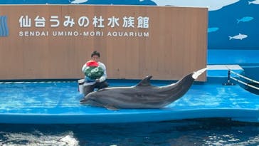 仙台うみの杜水族館に投稿された画像（2026/1/2）