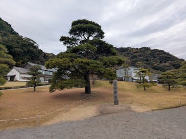 仙巌園に投稿された画像（2026/1/2）