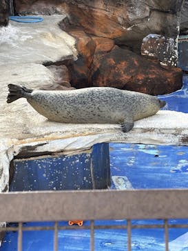 名古屋市東山動植物園に投稿された画像（2026/1/2）