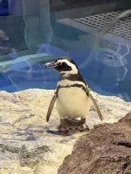 すみだ水族館に投稿された画像（2026/1/2）