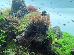 すみだ水族館に投稿された画像（2026/1/2）