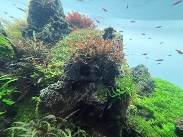 すみだ水族館に投稿された画像（2026/1/2）