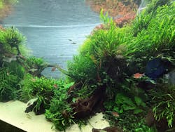 すみだ水族館に投稿された画像（2026/1/2）