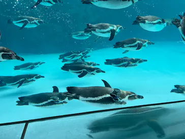 葛西臨海水族園に投稿された画像（2026/1/2）