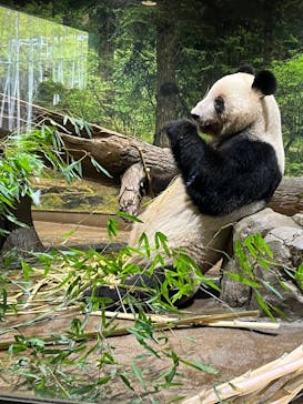 恩賜上野動物園に投稿された画像（2026/1/2）