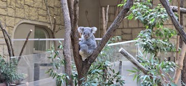 名古屋市東山動植物園に投稿された画像（2026/1/2）