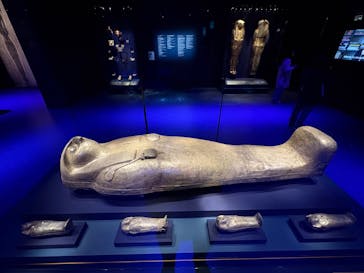 ACN ラムセス大王展 ファラオたちの黄金に投稿された画像（2026/1/2）