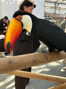 掛川花鳥園に投稿された画像（2026/1/2）