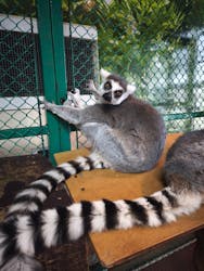 那須ワールドモンキーパークに投稿された画像（2026/1/2）