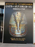 MYSTERY OF TUTANKHAMEN 体感型古代エジプト展に投稿された画像（2026/1/2）