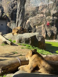 天王寺動物園に投稿された画像（2026/1/2）