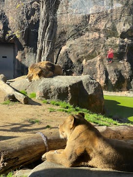 天王寺動物園に投稿された画像（2026/1/2）