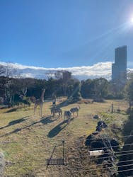 天王寺動物園に投稿された画像（2026/1/2）