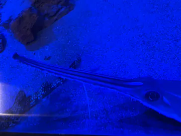 竹島水族館に投稿された画像（2026/1/2）