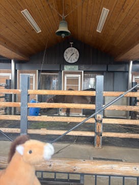 恩賜上野動物園に投稿された画像（2026/1/2）