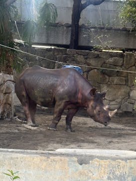 恩賜上野動物園に投稿された画像（2026/1/2）