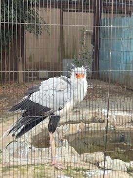 恩賜上野動物園に投稿された画像（2026/1/2）