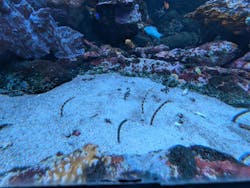サンシャイン水族館に投稿された画像（2026/1/2）