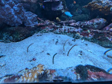 サンシャイン水族館に投稿された画像（2026/1/2）