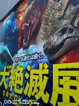 特別展「大絶滅展―生命史のビッグファイブ」に投稿された画像（2026/1/2）