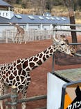 東京動物園協会_多摩動物公園に投稿された画像（2026/1/2）