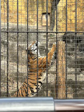 東京動物園協会_多摩動物公園に投稿された画像（2026/1/2）