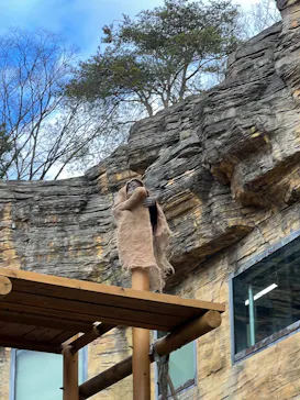 東京動物園協会_多摩動物公園に投稿された画像（2026/1/2）