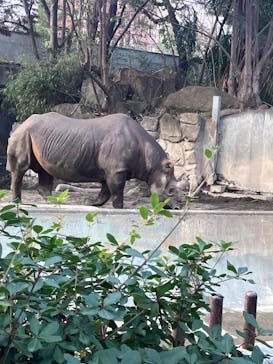 恩賜上野動物園に投稿された画像（2026/1/2）