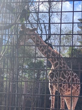 恩賜上野動物園に投稿された画像（2026/1/2）