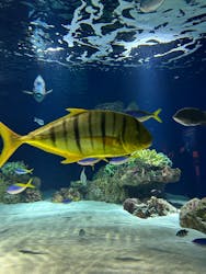 マリンワールド海の中道に投稿された画像（2026/1/2）