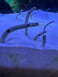 マリンワールド海の中道に投稿された画像（2026/1/2）