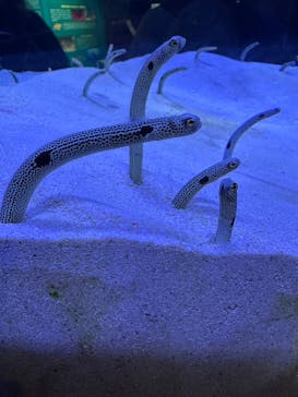 マリンワールド海の中道に投稿された画像（2026/1/2）