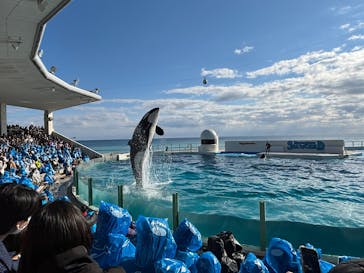 鴨川シーワールドに投稿された画像（2026/1/2）