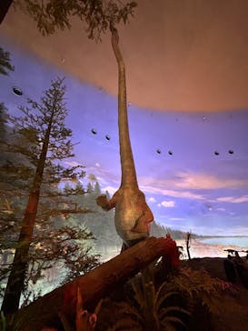 福井県立恐竜博物館に投稿された画像（2026/1/2）