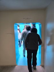 金沢21世紀美術館に投稿された画像（2026/1/2）