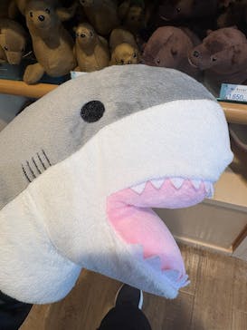 環境水族館アクアマリンふくしまに投稿された画像（2026/1/2）