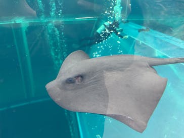環境水族館アクアマリンふくしまに投稿された画像（2026/1/2）
