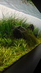 AOAO SAPPOROに投稿された画像（2026/1/2）