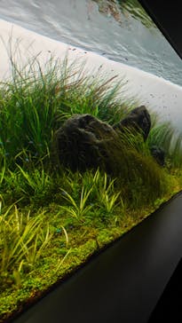 AOAO SAPPOROに投稿された画像（2026/1/2）