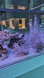 AOAO SAPPOROに投稿された画像（2026/1/2）