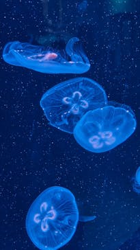 AOAO SAPPOROに投稿された画像（2026/1/2）