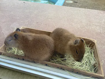 竹島水族館に投稿された画像（2026/1/2）