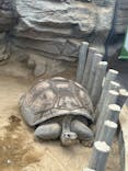 恩賜上野動物園に投稿された画像（2026/1/2）