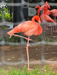 恩賜上野動物園に投稿された画像（2026/1/2）
