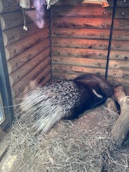 恩賜上野動物園に投稿された画像（2026/1/2）