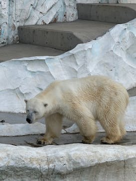 恩賜上野動物園に投稿された画像（2026/1/2）